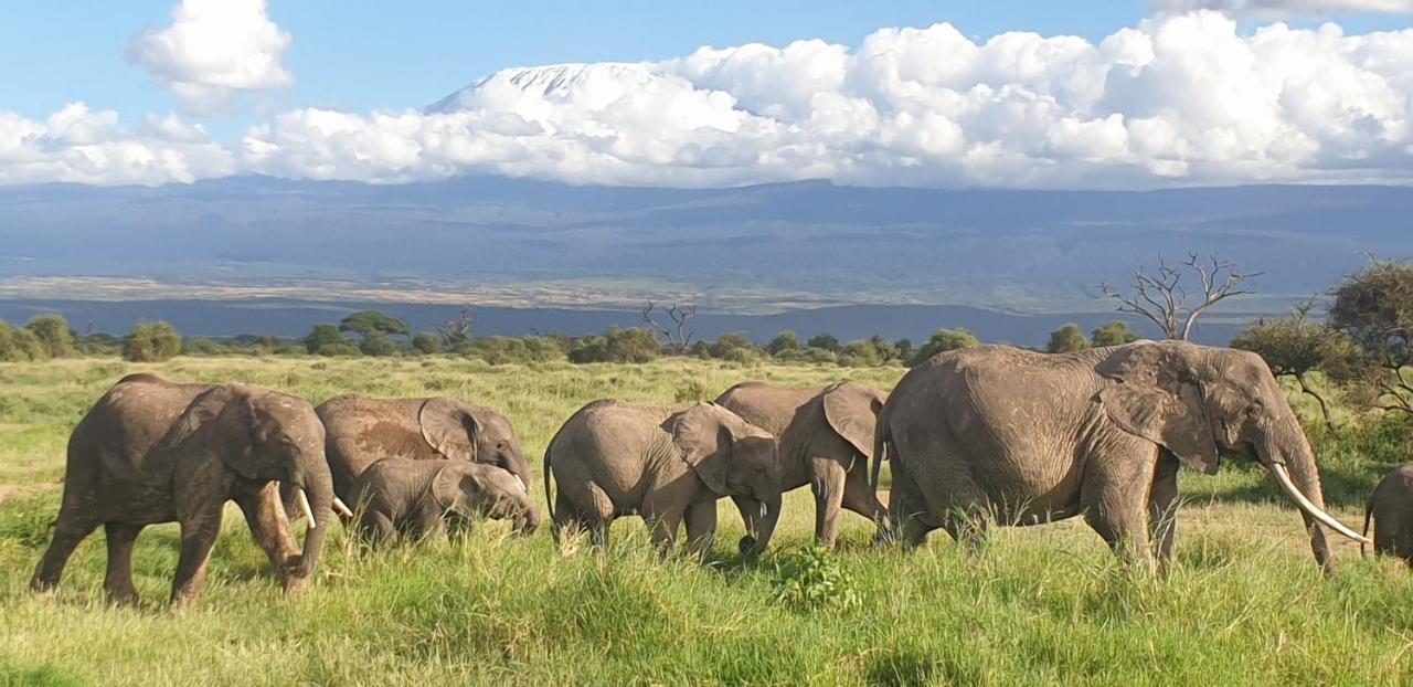 Wild Amboseli Ndovu Cottage. Exterior foto