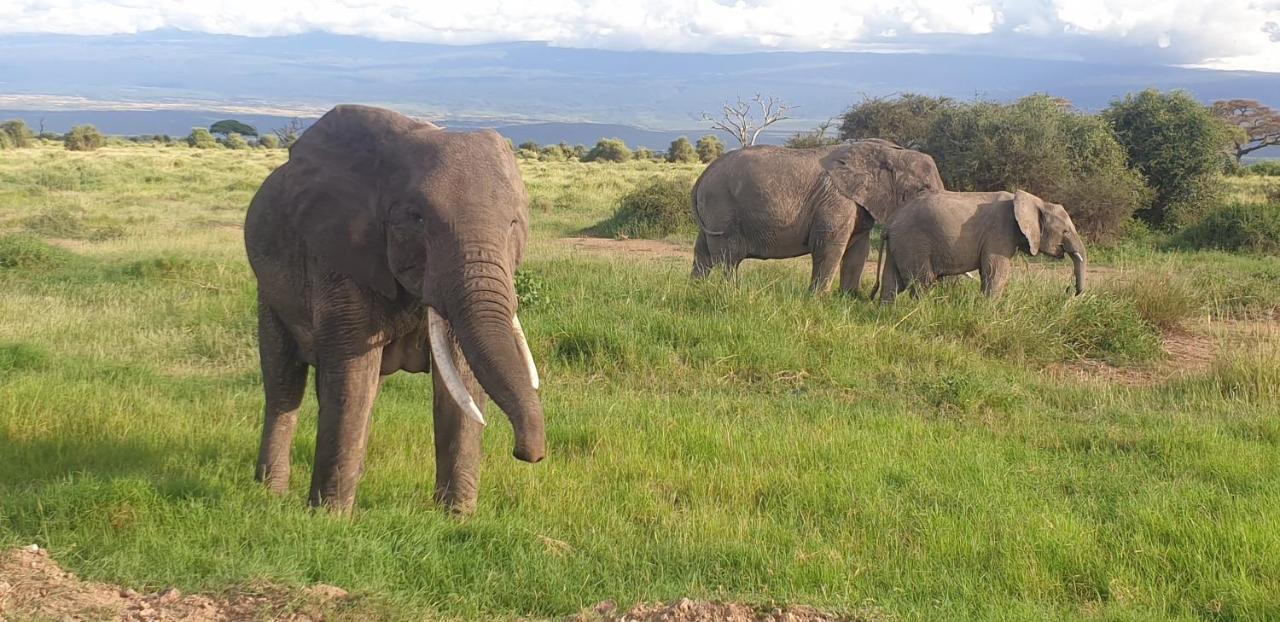 Wild Amboseli Ndovu Cottage. Exterior foto